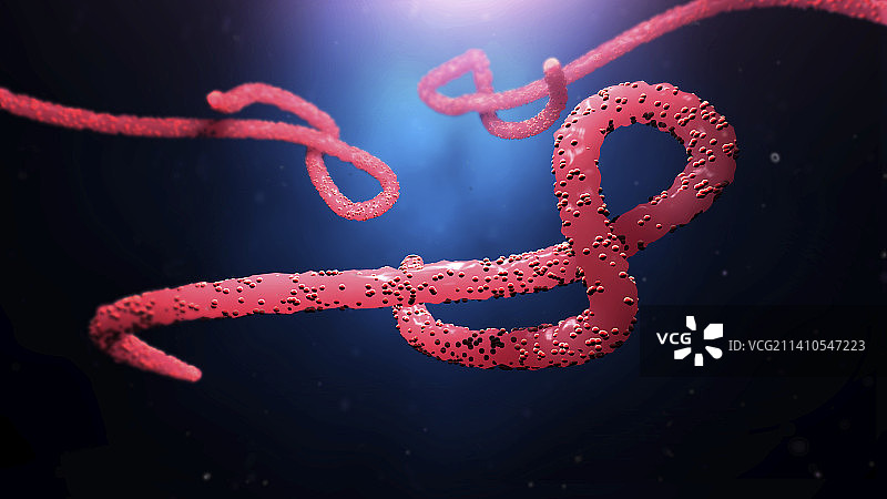 埃博拉病毒示意图图片素材