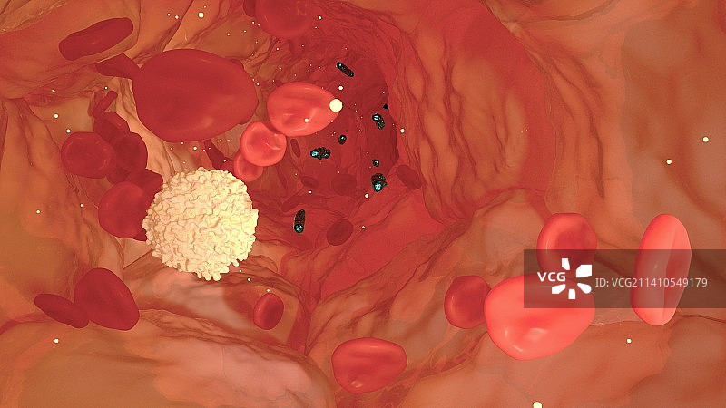 中性粒细胞免疫反应插图图片素材