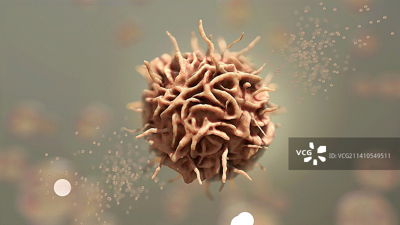 树突状细胞，图示图片素材