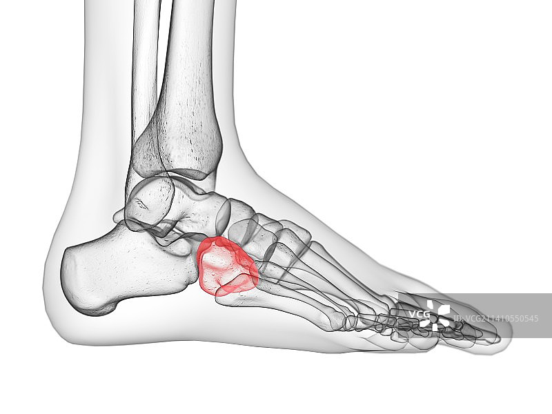 骰骨插图图片素材