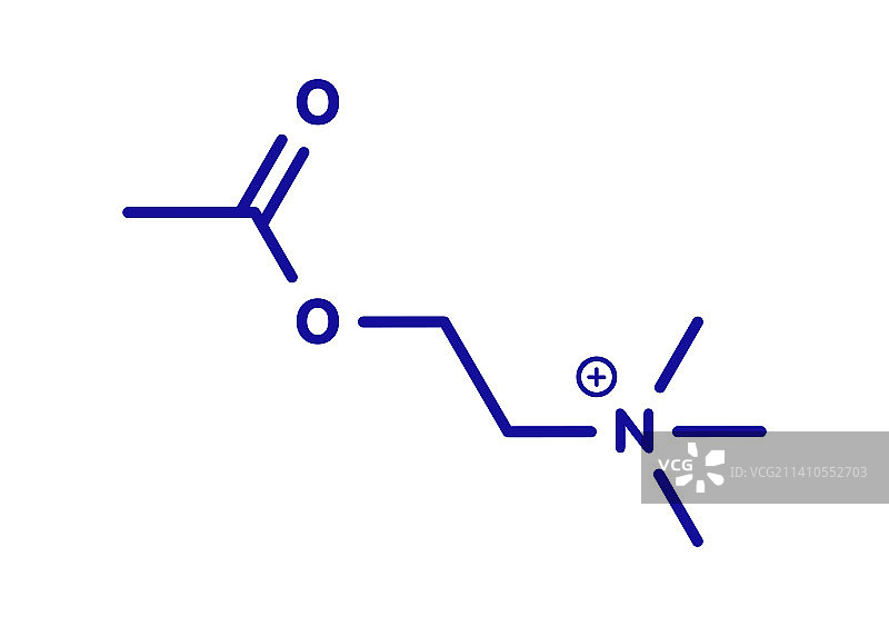 乙酰胆碱神经递质分子，图示图片素材
