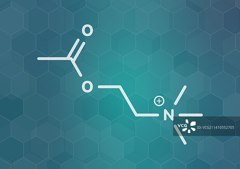 乙酰胆碱神经递质分子，图示图片素材