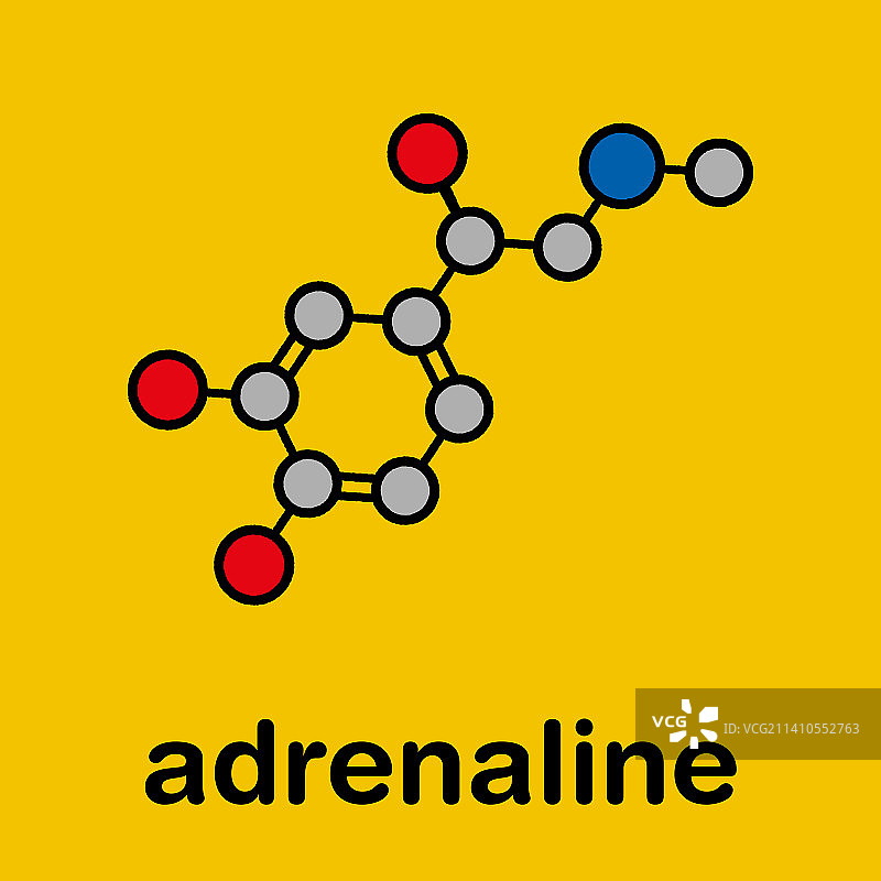 肾上腺素神经递质分子图图片素材
