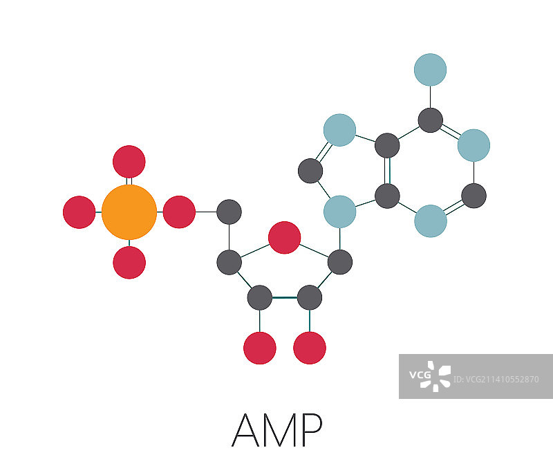 单磷酸腺苷分子图示图片素材