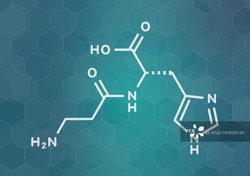 肌肽食品补充剂分子，图示图片素材