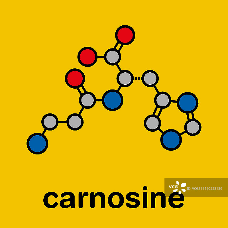肌肽食品补充剂分子，图示图片素材