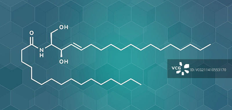 神经酰胺细胞膜脂质分子插画图片素材
