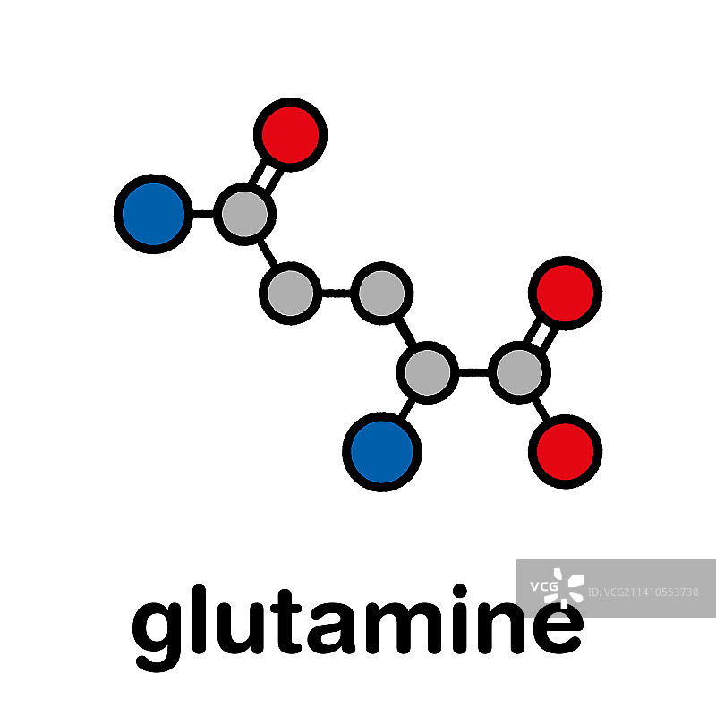 谷氨酰胺氨基酸分子，图示图片素材