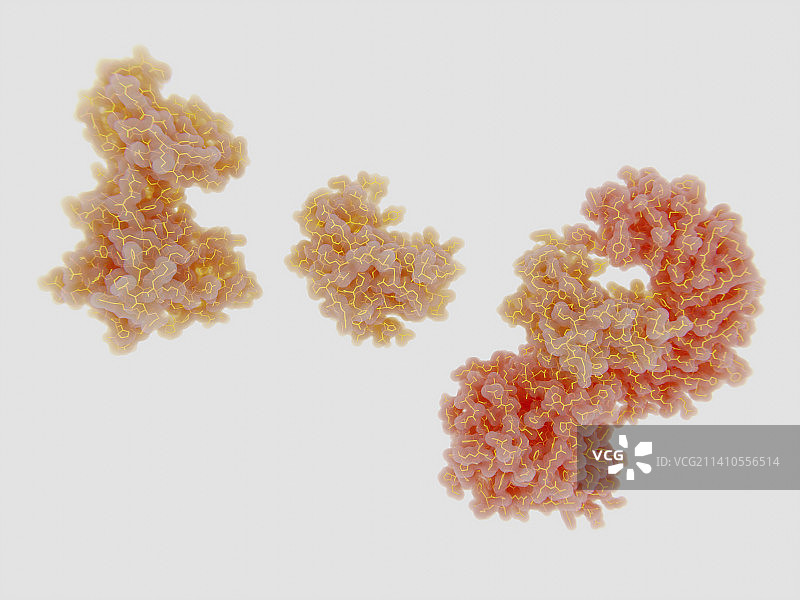 NEK7激酶与NLRP3炎症小体结合分子模型图片素材