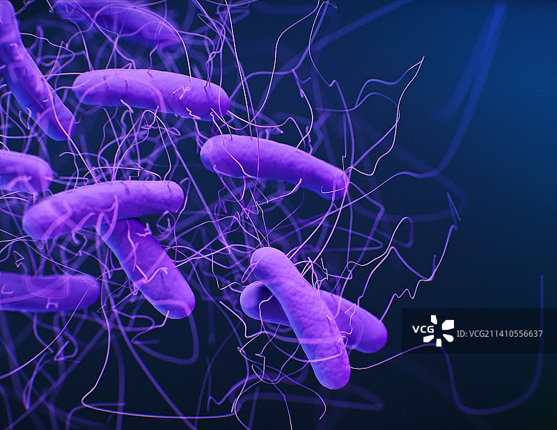 艰难梭菌示意图图片素材