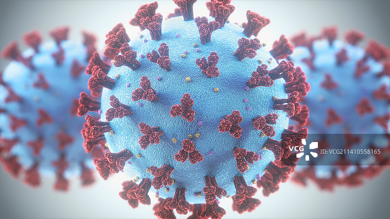 冠状病毒颗粒，插图图片素材