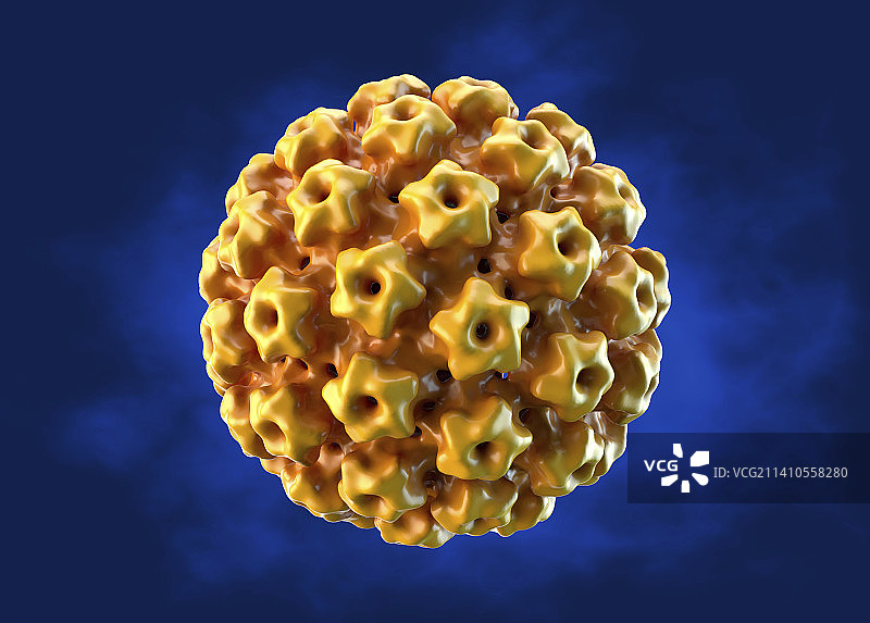 人乳头瘤病毒插图图片素材