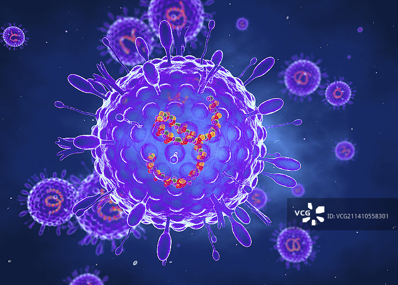 人副流感病毒，图示图片素材