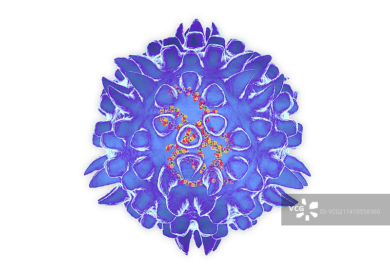 轮状病毒示意图图片素材