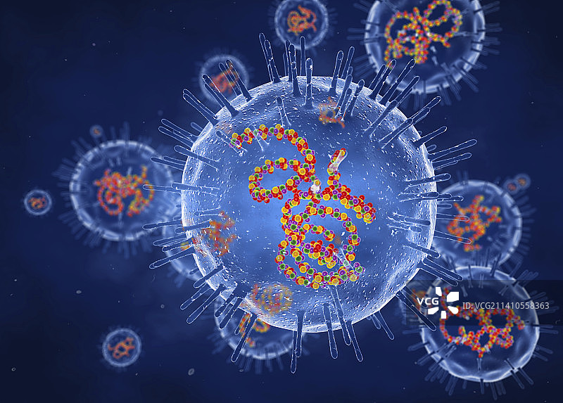 风疹病毒，图示图片素材