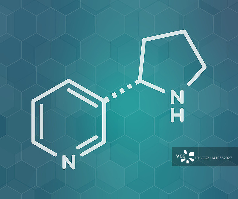 降烟碱生物碱分子结构示意图图片素材