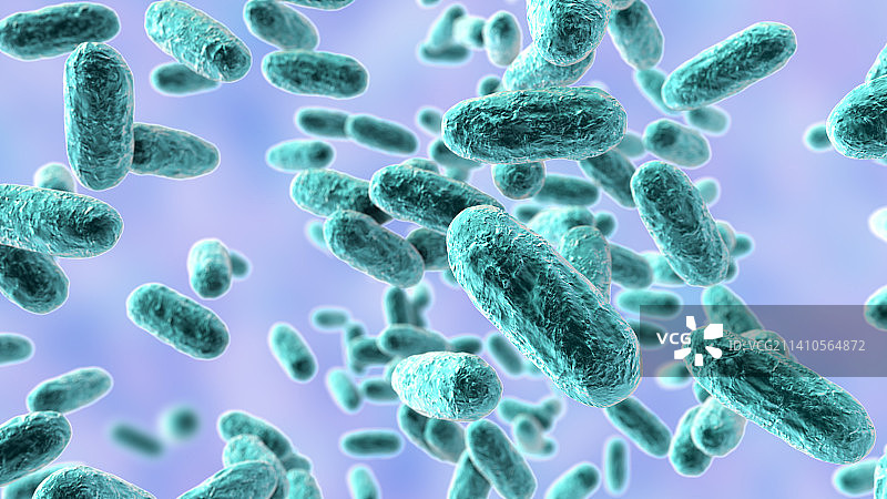 百日咳杆菌，图示图片素材