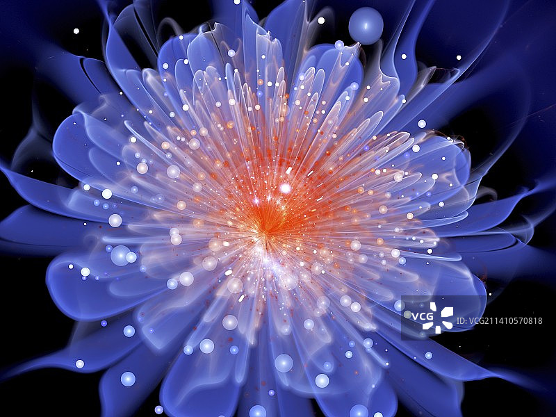 抽象花卉插画图片素材