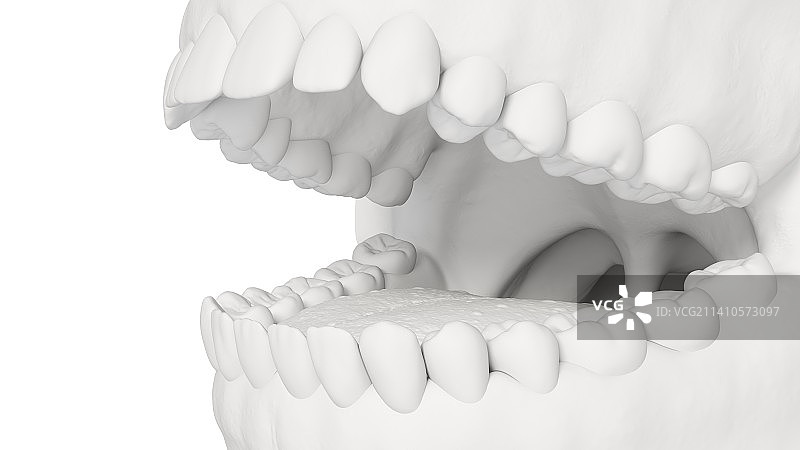 人类牙齿插图图片素材