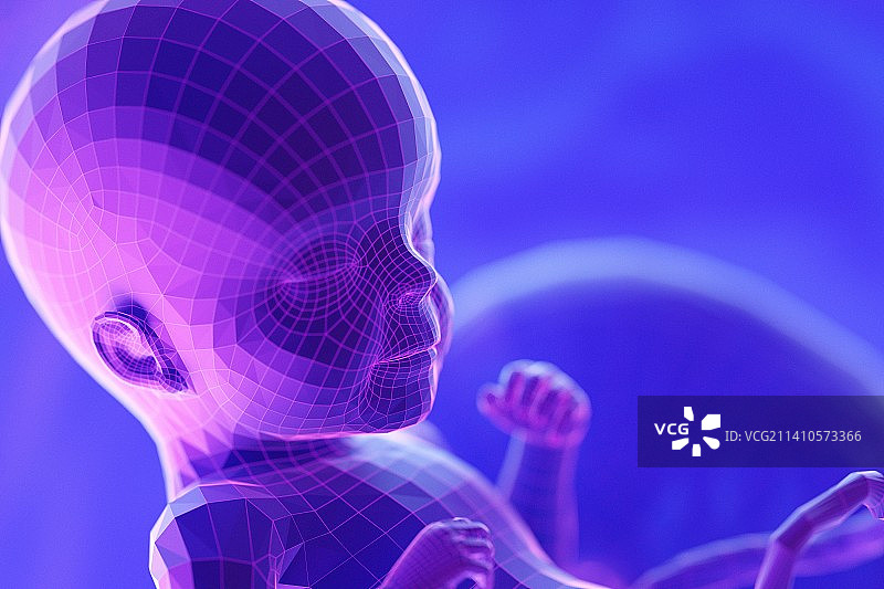 第26周胎儿插图图片素材