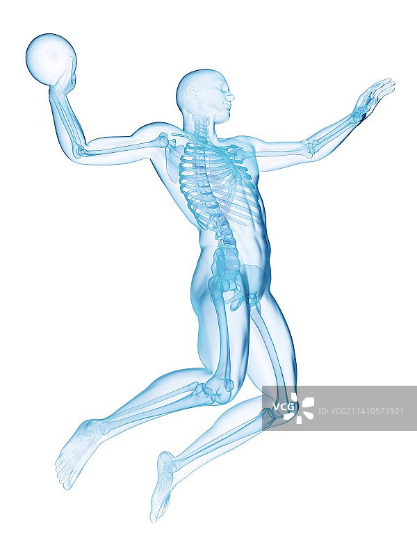 手球运动员插画图片素材