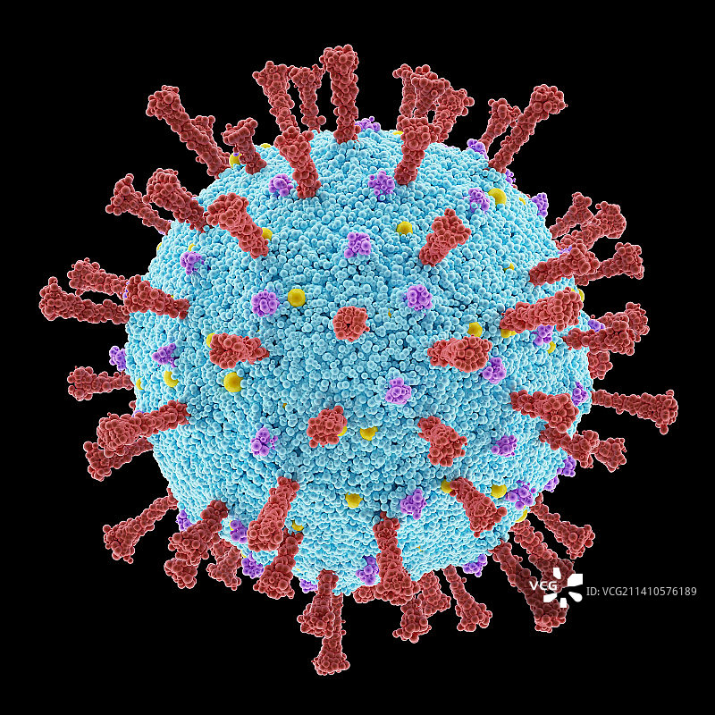 新冠病毒颗粒插画图片素材