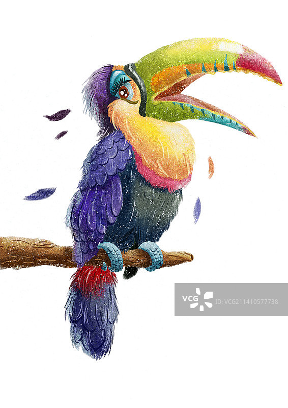 巨嘴鸟图片素材