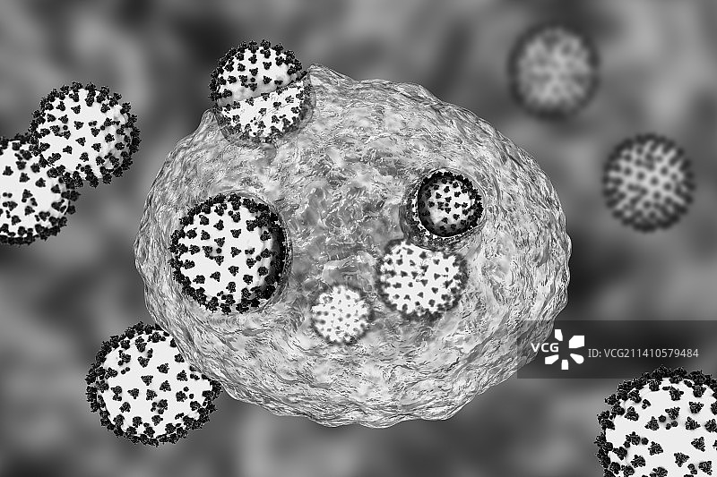 感染人体细胞的新冠病毒图片素材