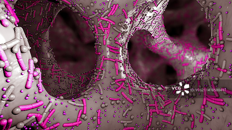 人体消化系统菌群，图示图片素材