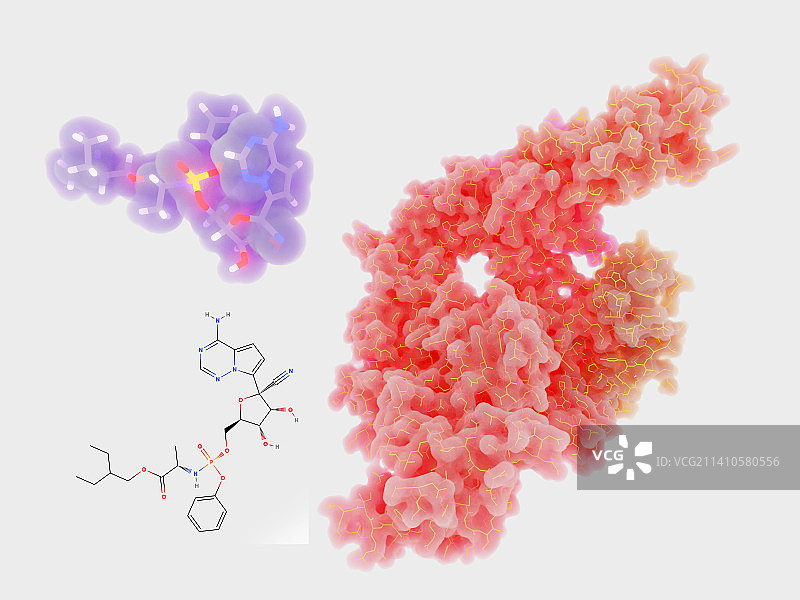 潜在新冠病毒药物及靶点插画图片素材