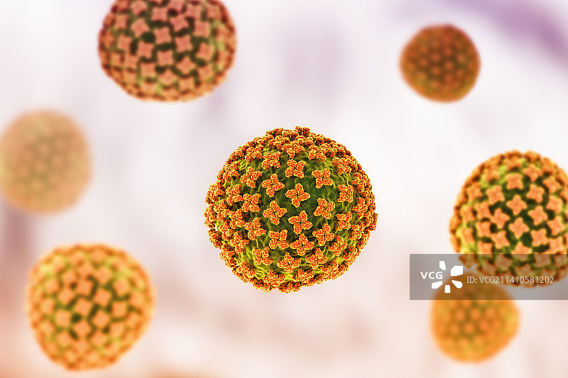 汉坦病毒颗粒，图示图片素材