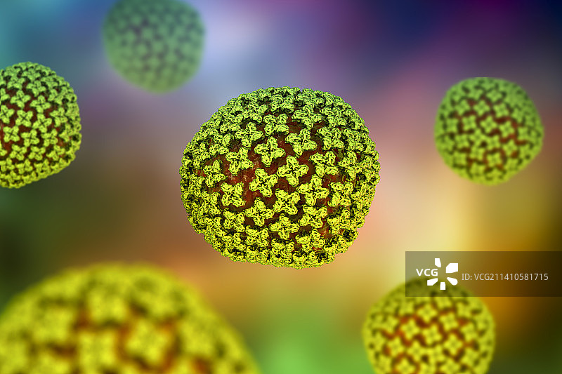 汉坦病毒颗粒，图示图片素材