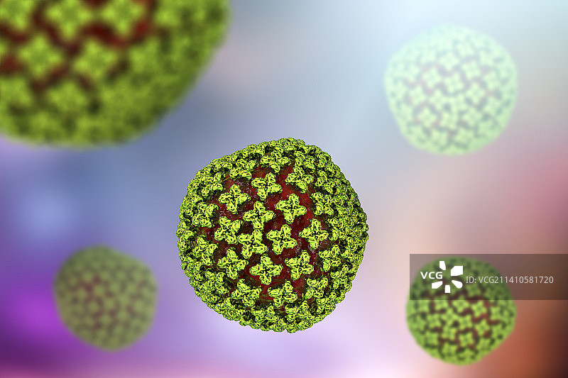 汉坦病毒颗粒，图示图片素材