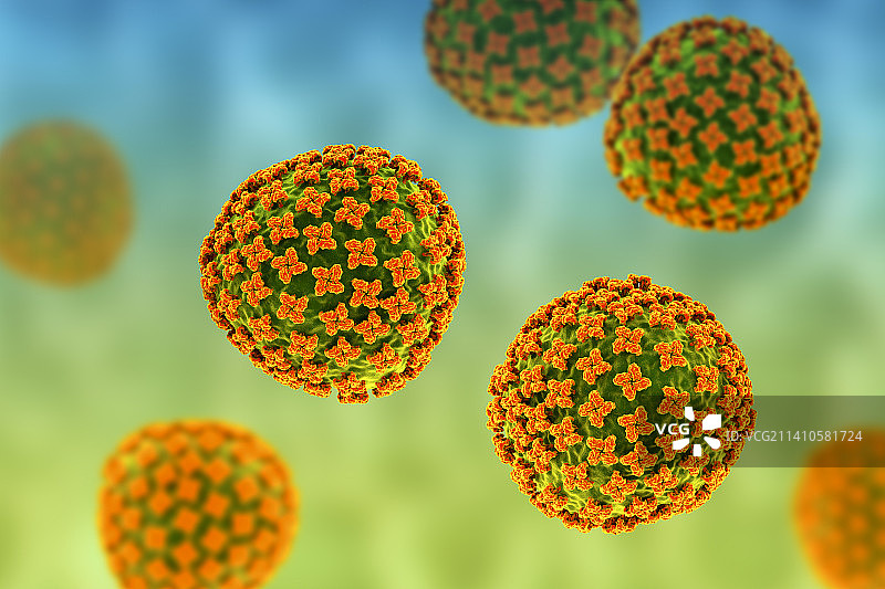 汉坦病毒颗粒，图示图片素材