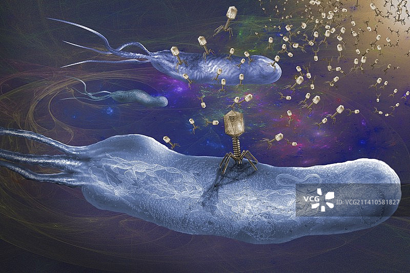 感染细菌的噬菌体插图图片素材