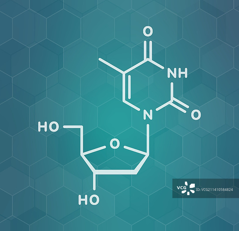 胸腺嘧啶核苷分子结构示意图图片素材