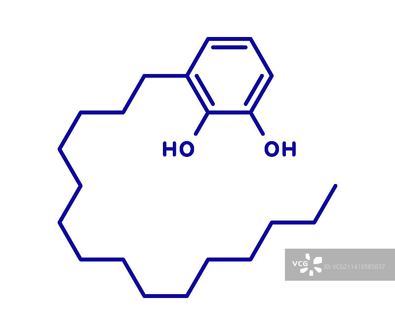漆酚毒葛过敏原分子结构图图片素材