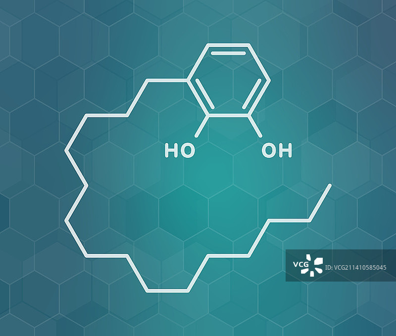 漆酚毒葛过敏原分子结构图图片素材