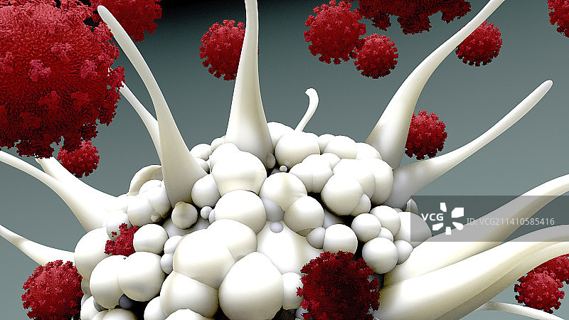 树突状细胞和病毒颗粒插图图片素材