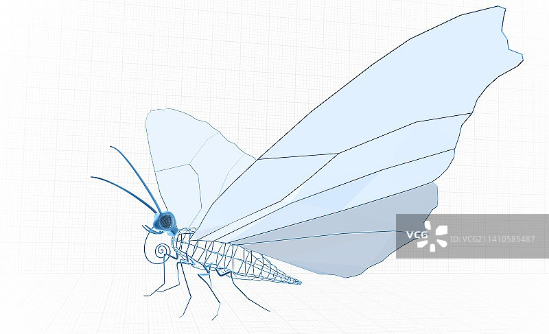蝴蝶解剖结构3D图图片素材