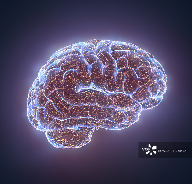 人脑，插图图片素材