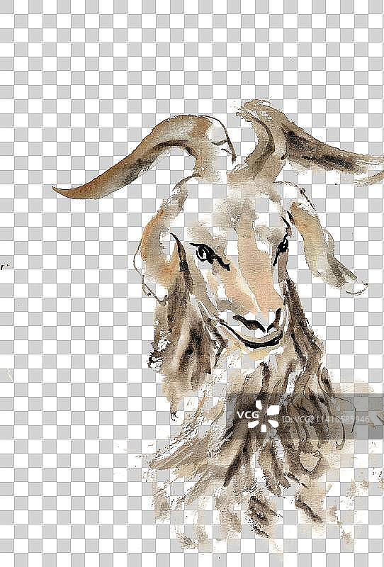 眺望的羊图片素材