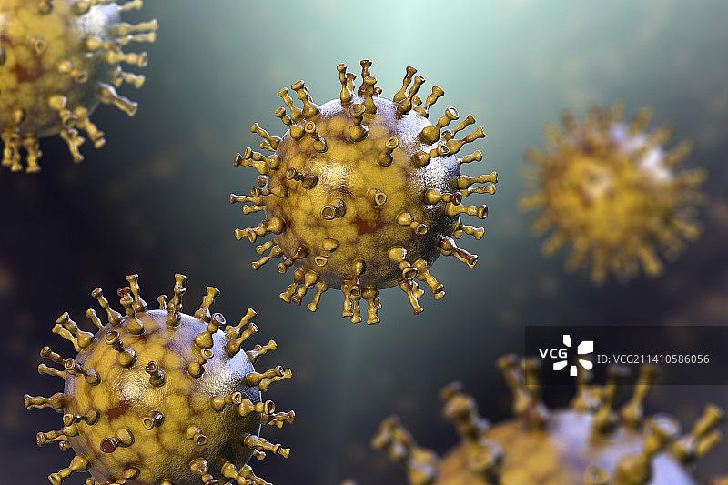 水痘病毒，图示图片素材