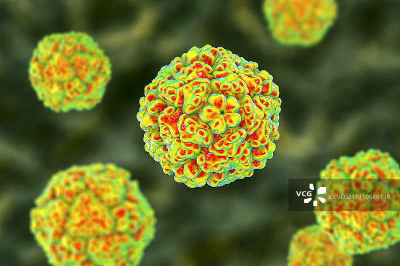 肠道病毒插画图片素材