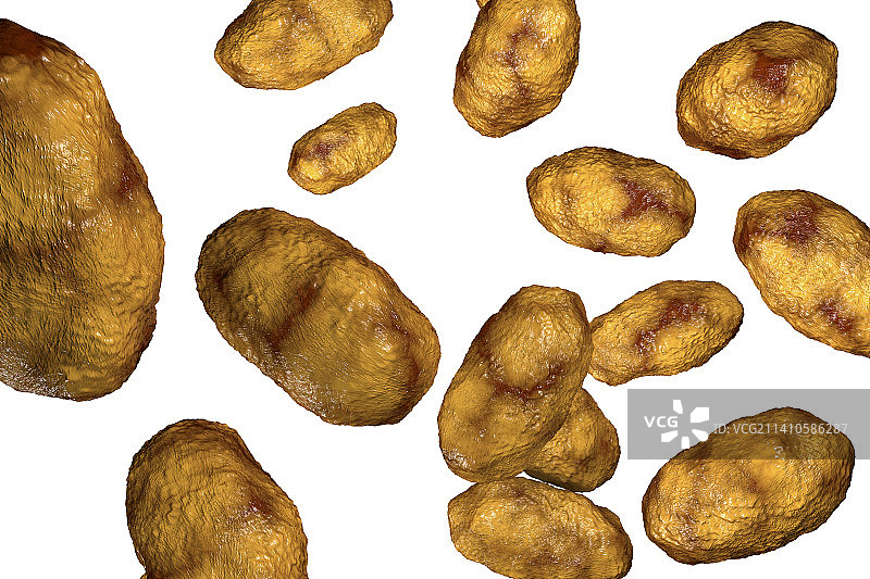 流感嗜血杆菌细菌插图图片素材