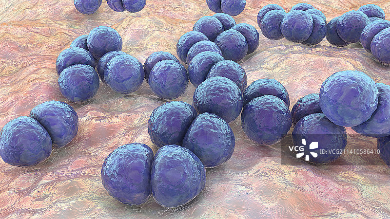 肺炎链球菌细菌插图图片素材