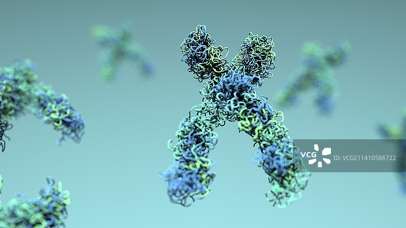 染色体插图图片素材