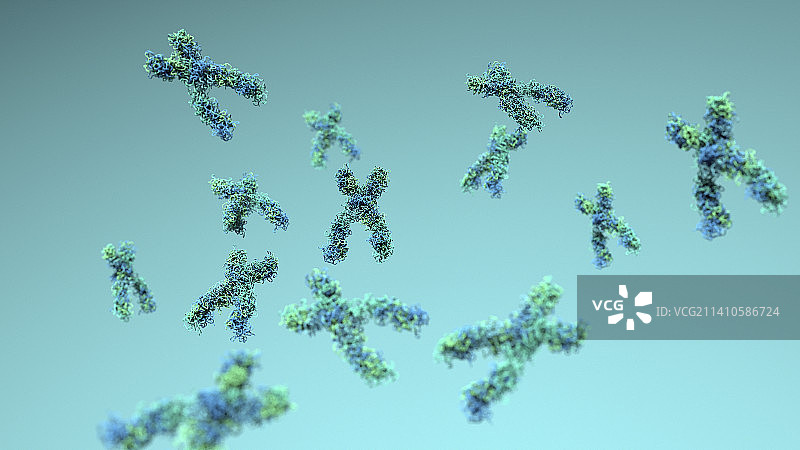染色体插图图片素材
