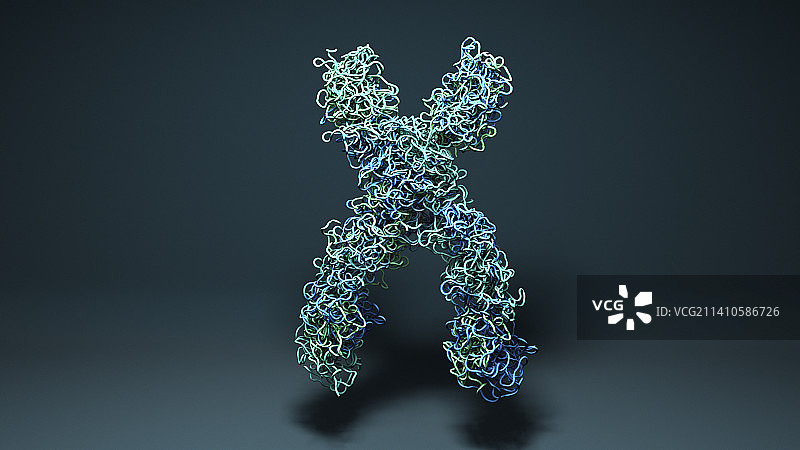 染色体插图图片素材