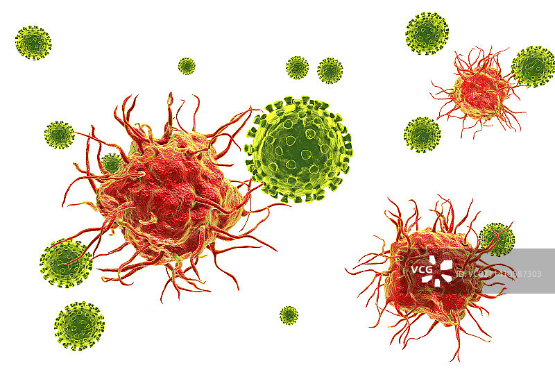 病毒与树突状细胞之间的相互作用，图示图片素材
